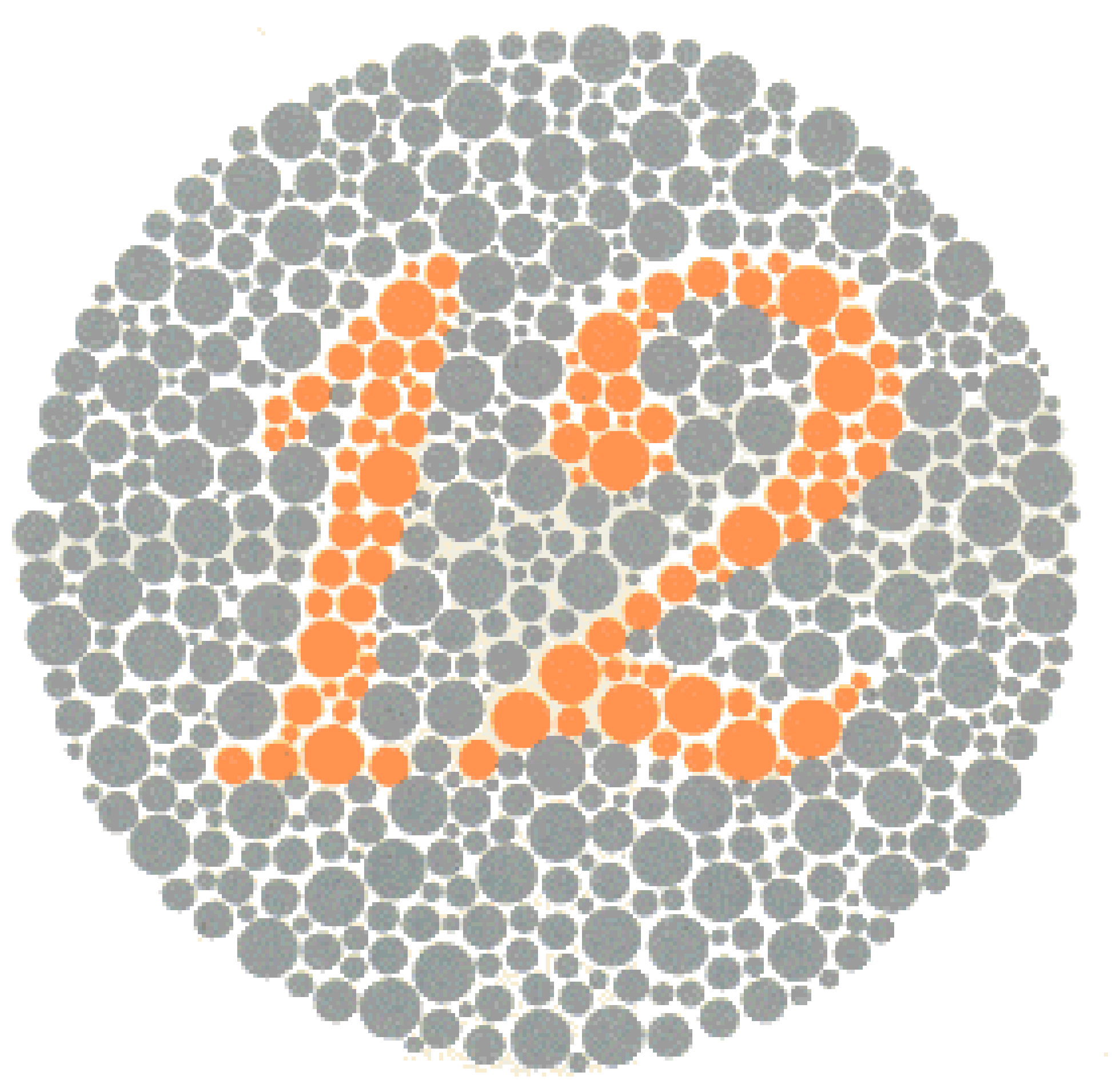 Ishihara Color Blindness Test Plate 1