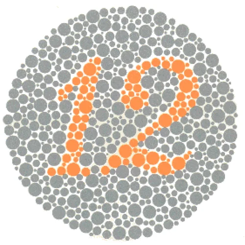 Ishihara Color Blindness Test Plate 1