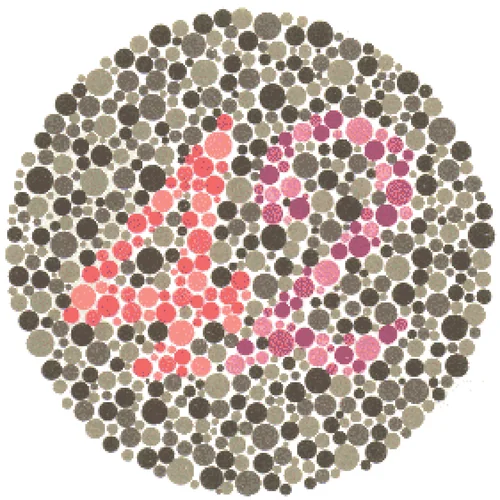 Ishihara Color Blindness Test Plate 17
