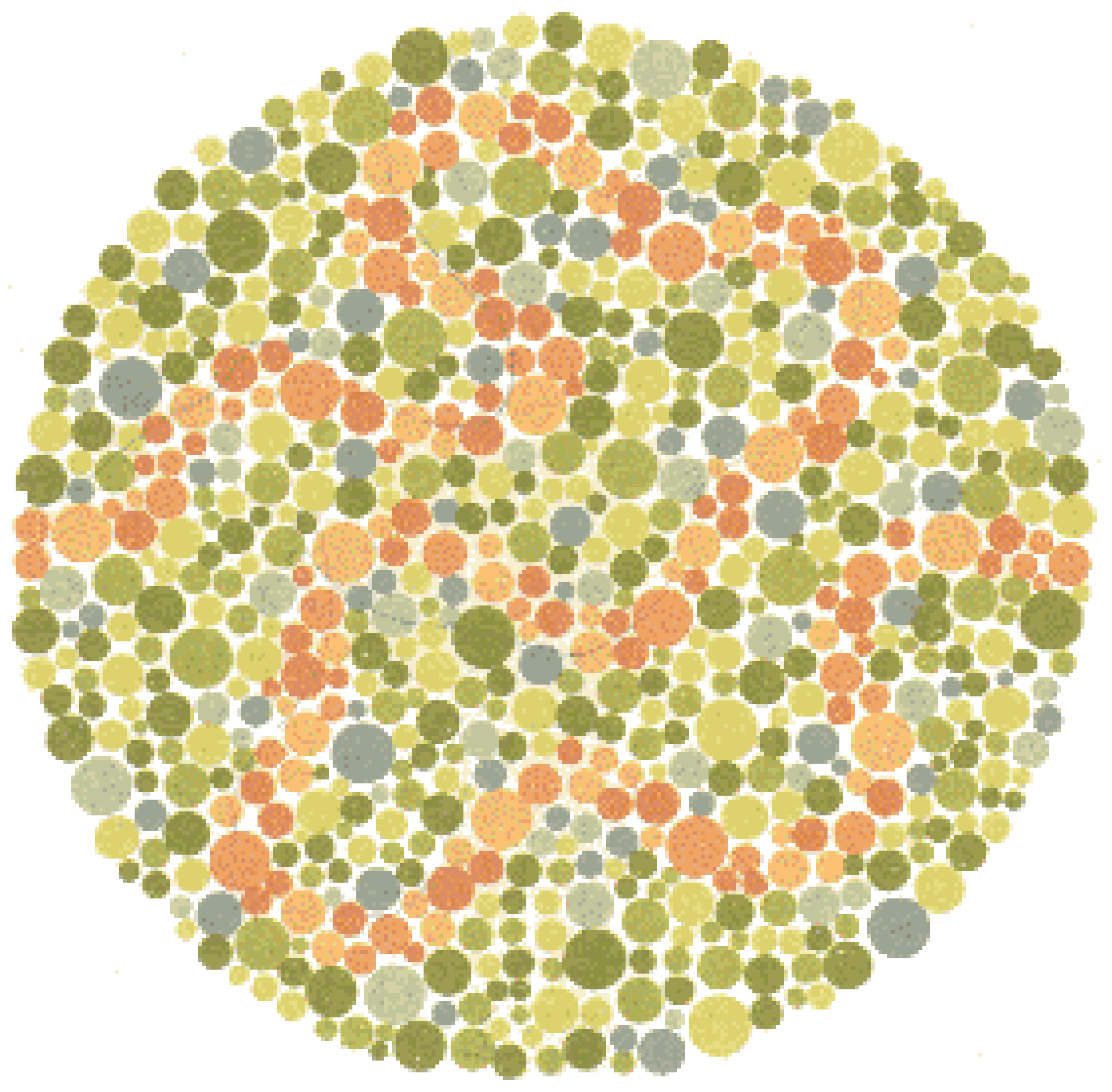 Ishihara Color Blindness Test Plate 21