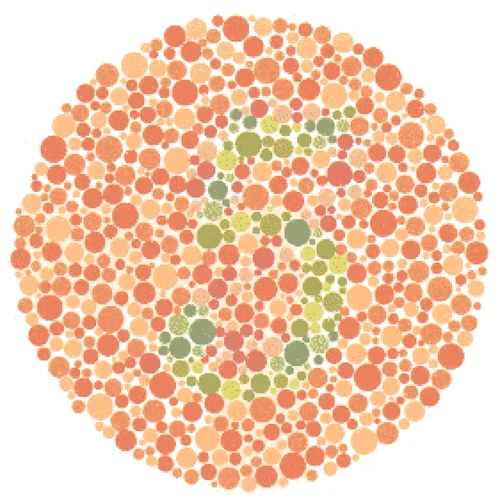 Ishihara Color Blindness Test Plate 4