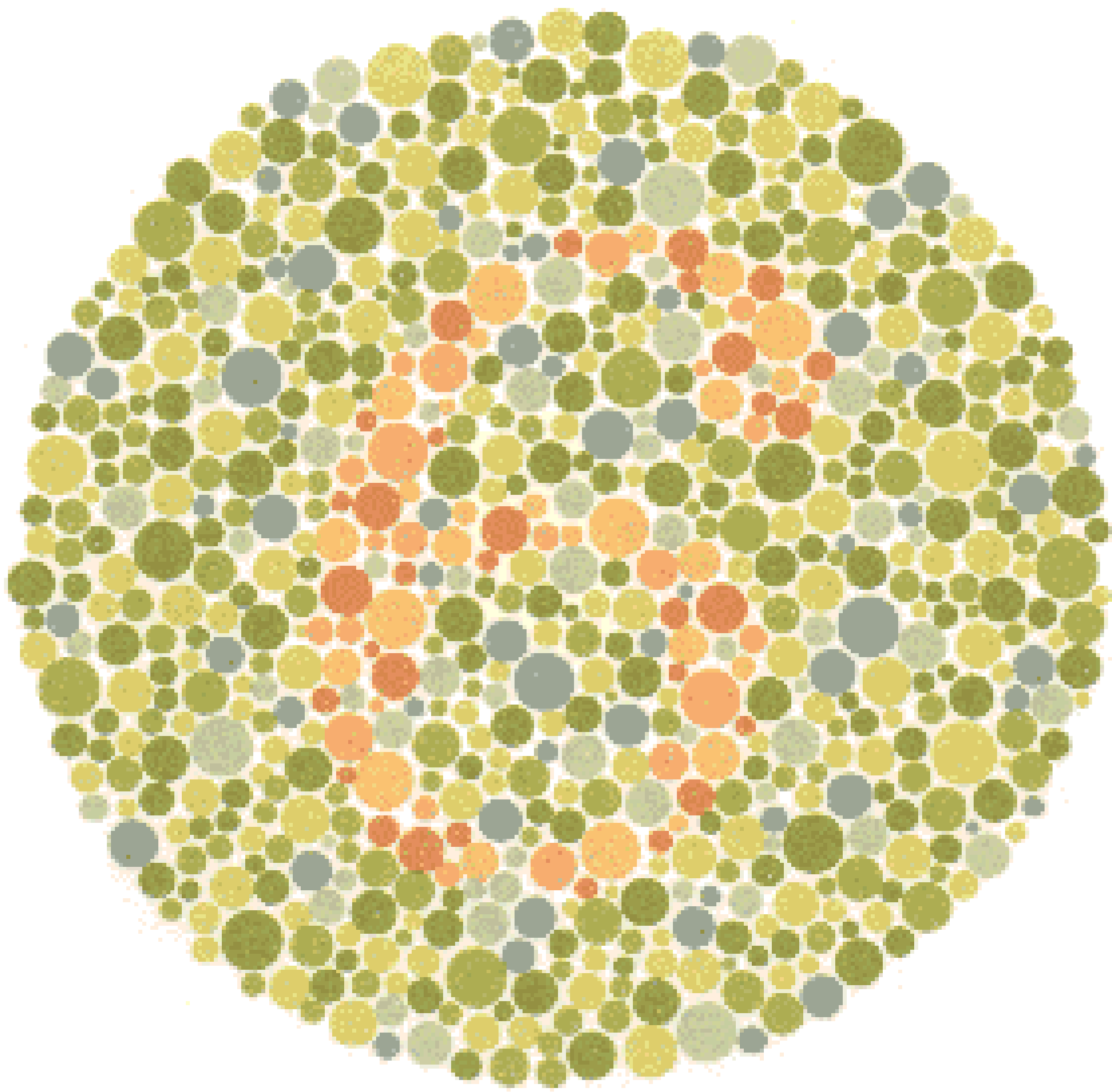 Ishihara Color Blindness Test Plate 8