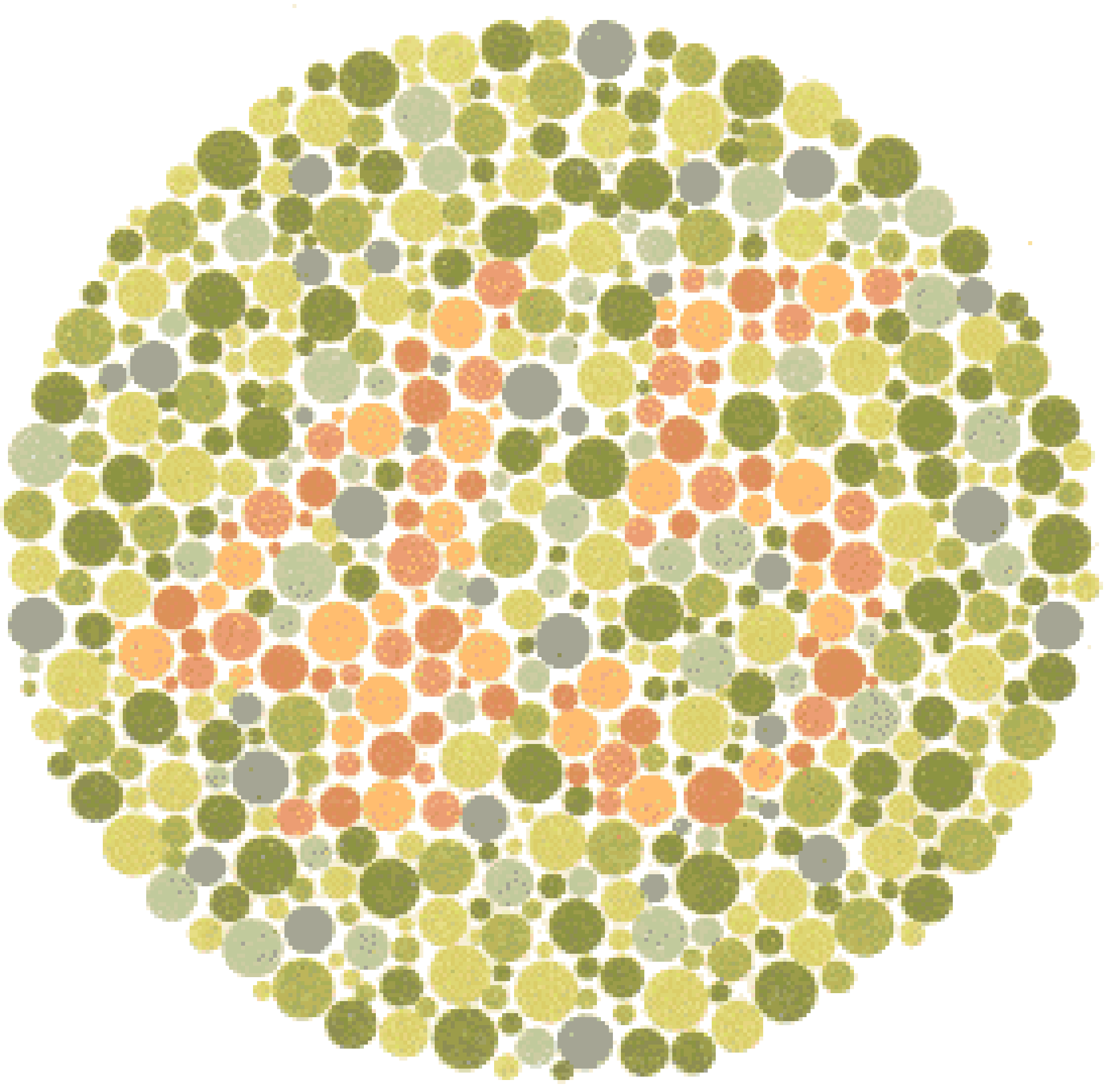 Ishihara Color Blindness Test Plate 9