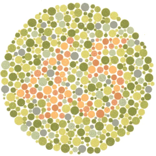 Ishihara Color Blindness Test Plate 9
